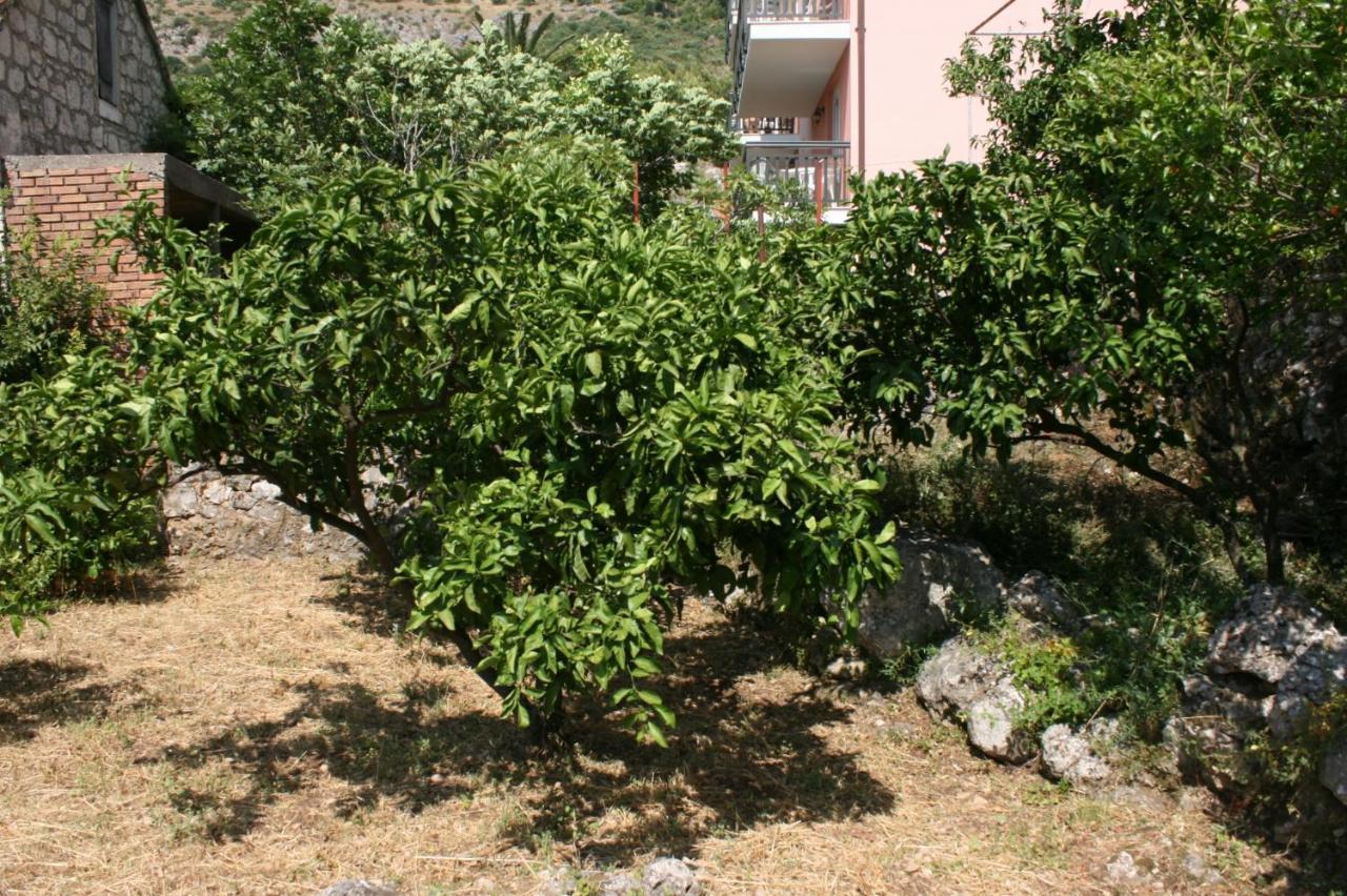Apartments By The Sea Podaca, Makarska - 6874 Luaran gambar